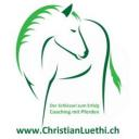 (c) Christianluethi.ch